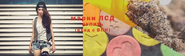 СК Новозыбков