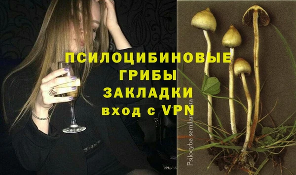 не бодяженный Дмитров