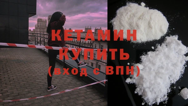 прущие грибы Ивангород