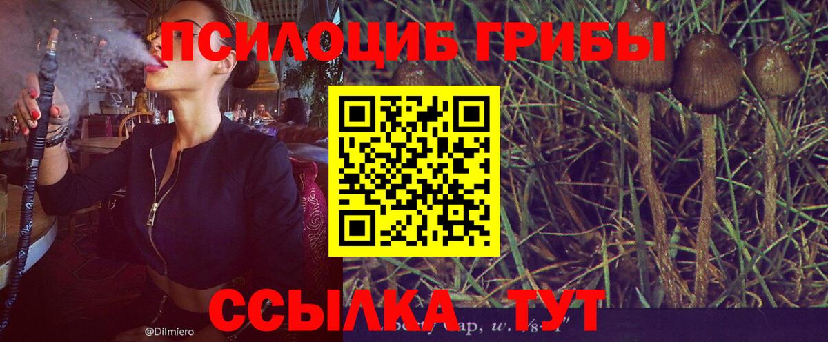МЕФ  МДМА  Купить наркотик  Марихуана  Коряжма  КОКАИН  Гашик  Мефедрон  Вход с VPN  Ляпка  Масло THC 