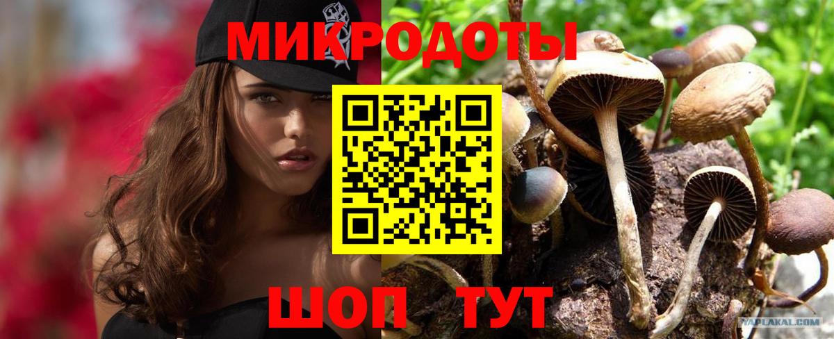 Псилоцибиновые грибы Psilocybe  Вход с VPN  Коряжма  Псилоцибиновые грибы Psilocybine cubensis 